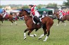 UKPA NC SAT_2816